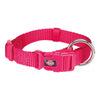 Premium Collar - Fuchsia