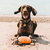 BeCo Dog Toy - Recycled Rough & Tough Crab