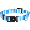 dog-collar-alfry-blue