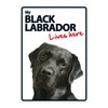 Dog Sign Black Labrador Lives Here