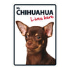 Dog Sign Chihuahua Lives Here
