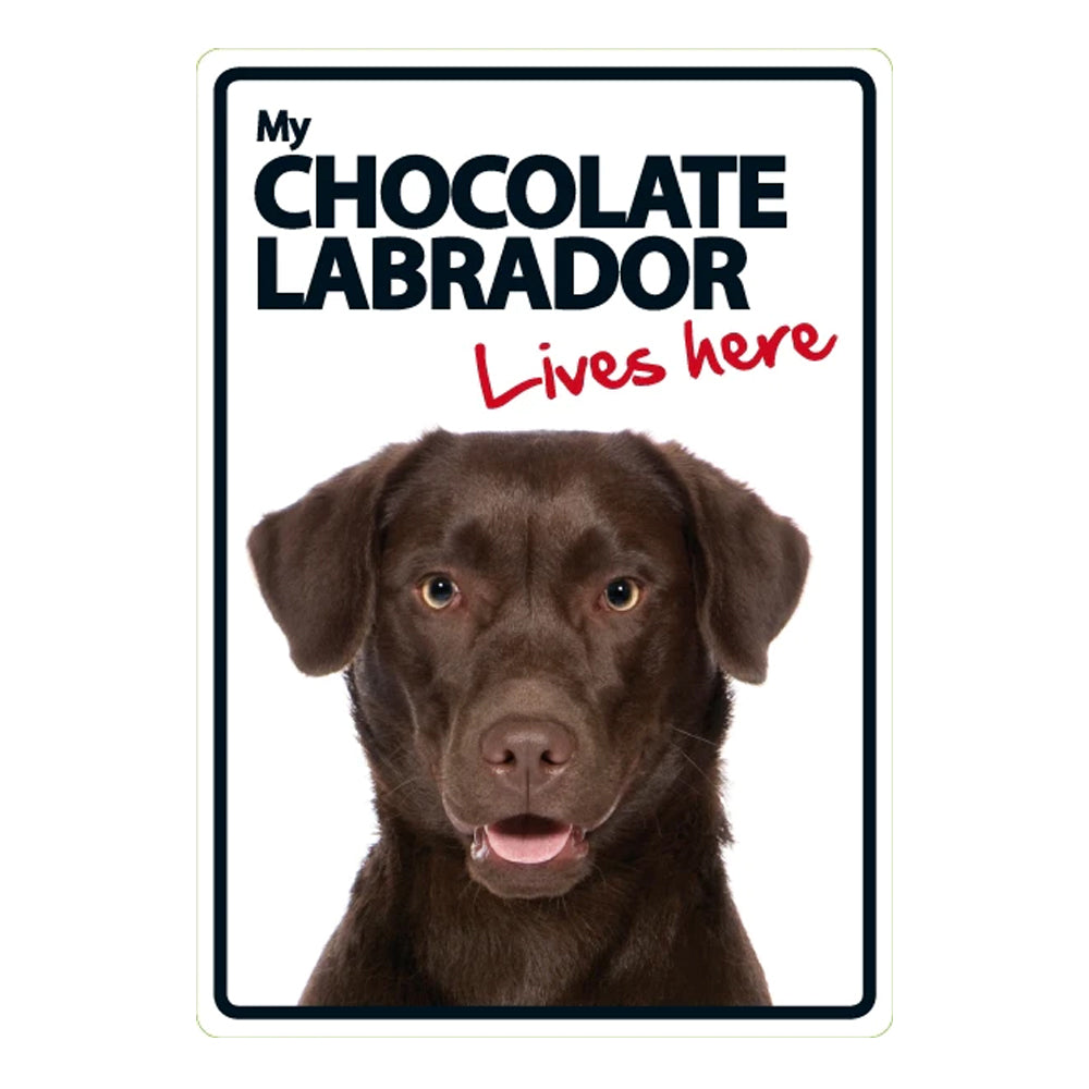 Dog Sign Chocolate Labrador Lives Here - Petstop