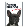 Dog Sign French Bulldog Lives Here
