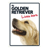 Dog Sign Golden Retriever Lives Here