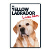 Dog Sign Yellow Labrador Lives Here