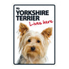 Dog Sign Yorkshire Terrier Lives Here