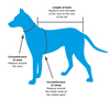 Petstop Dog Jumper - Cable Knit Beige