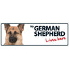 Dog Sign German Shepherd Lives Here Landscape