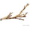 Exo Terra Forest Branch Small 30cm