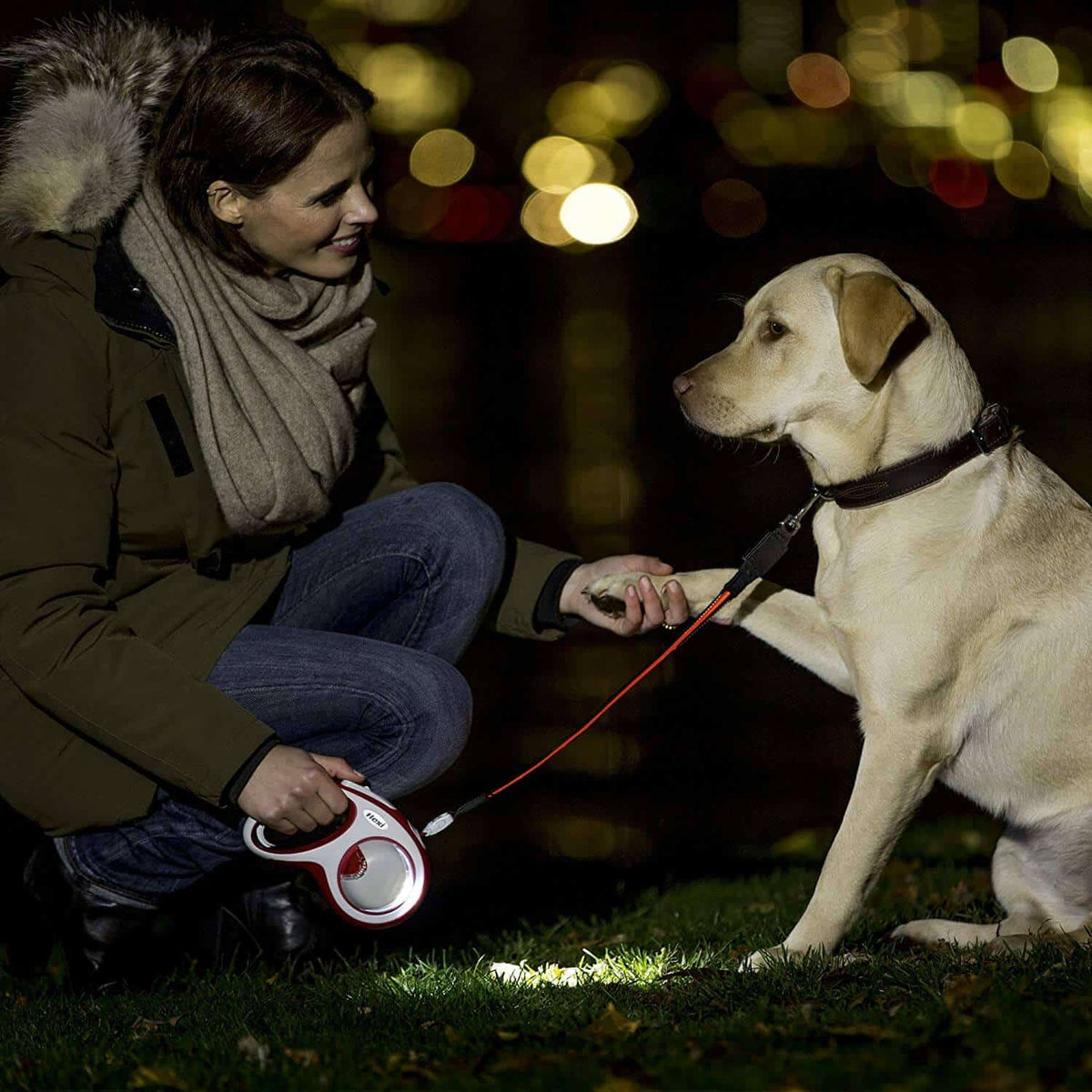 Flexi LED Lighting System Petstop - Main Image