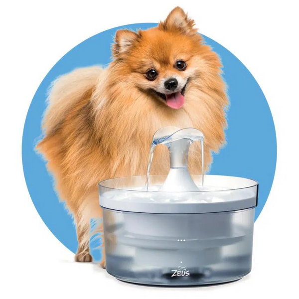 Zeus Drinking Fountain Fresh Clear Waterfall Spout Petstop