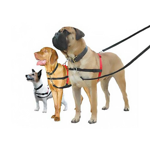 Halti Harness Front Control Petstop - Main Image
