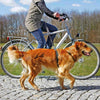 bicycle-and-jogging-lead-for-dogs