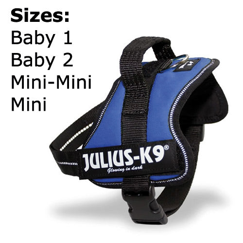 Julius-K9 Power Harness Blue Petstop - Main Image