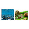 Marina Aquarium Background, Stoney River