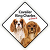 Dog Sign Cavalier King Charles On Board