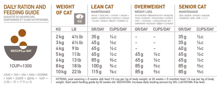 Orijen Cat Kitten Petstop