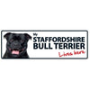 Dog Sign Staffordshire Bull Terrier Lives Here Landscape