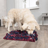 Activity Snuffle Mat Strategy Game