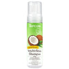 tropiclean-hypoallergenic-waterless-shampoo